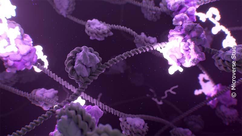 Unsere Biologika-Podcastserie