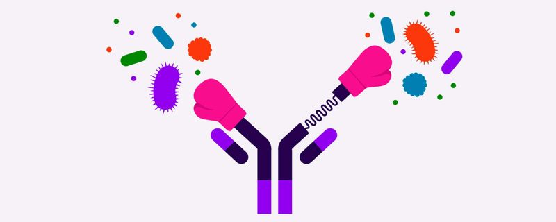 Wie Immunoscience die Forschung revolutioniert