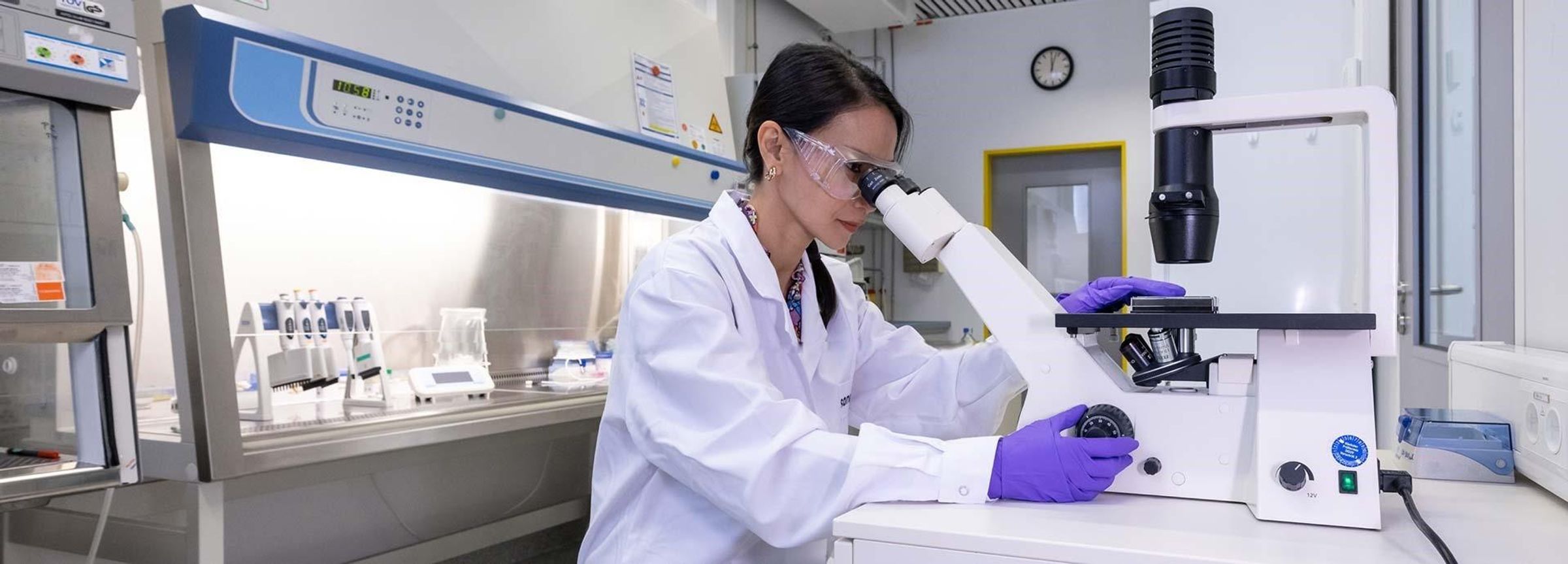 Verawan Boonsanay-Michel forscht mit Organoiden