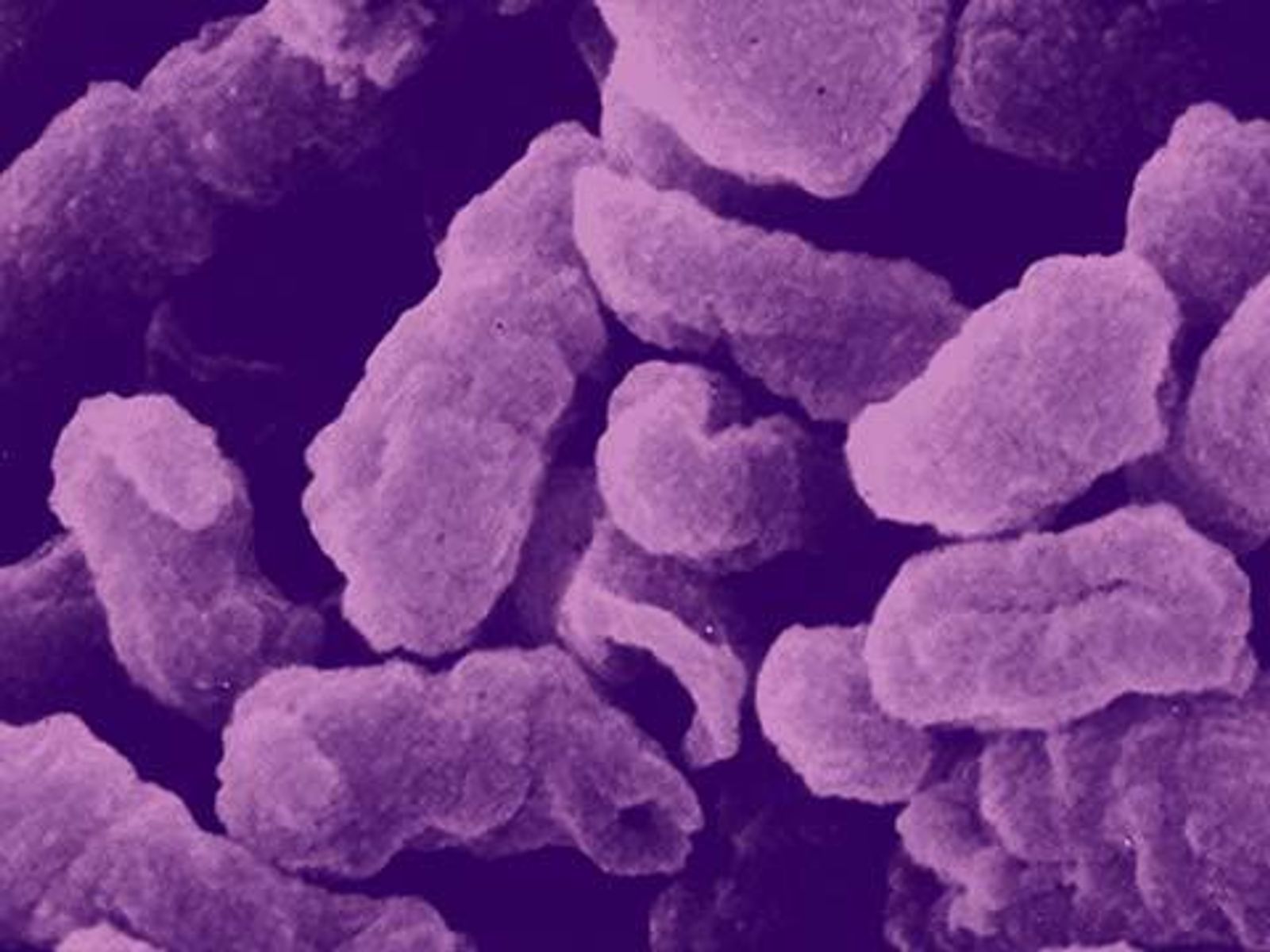 Wissenschaftliche 3D-Aufnahme