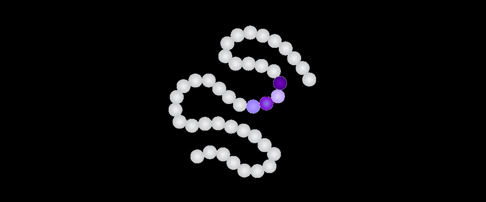 Schematische Darstellung eines Synthorin-Moleküls