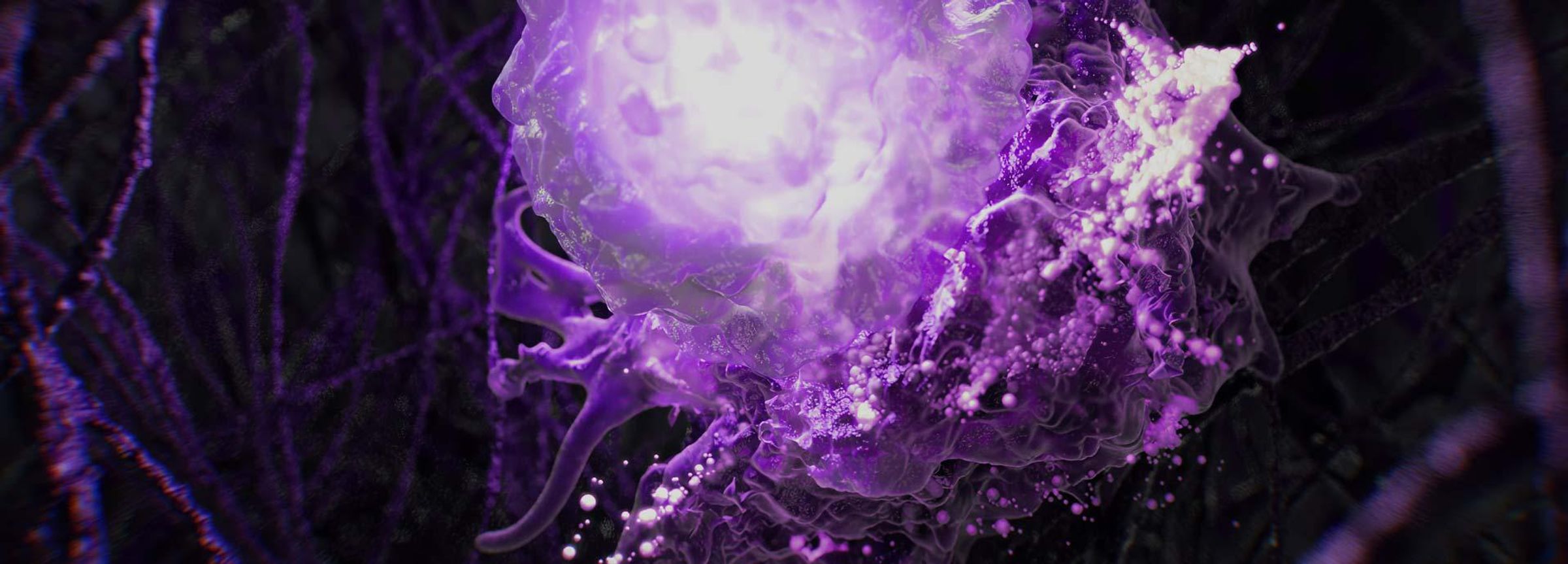 Wissenschaftliche 3D-Aufnahme