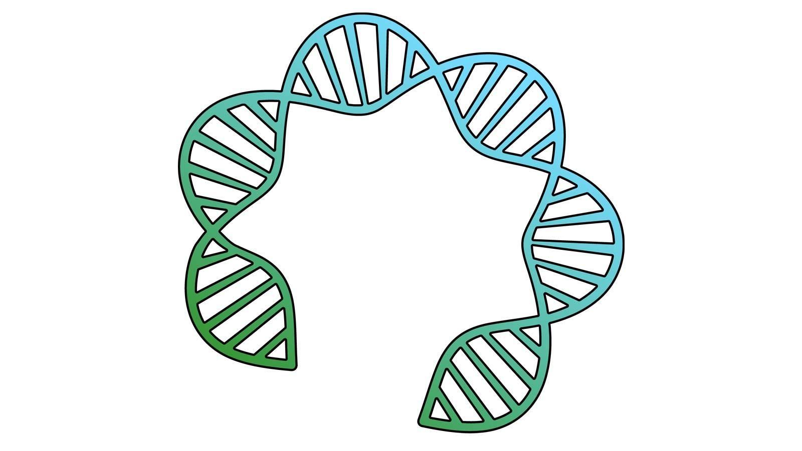 Schematische Darstellung einer Doppelhelix