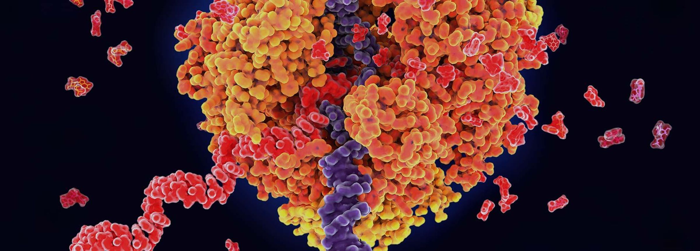 Wissenschaftliche 3D-Aufnahme