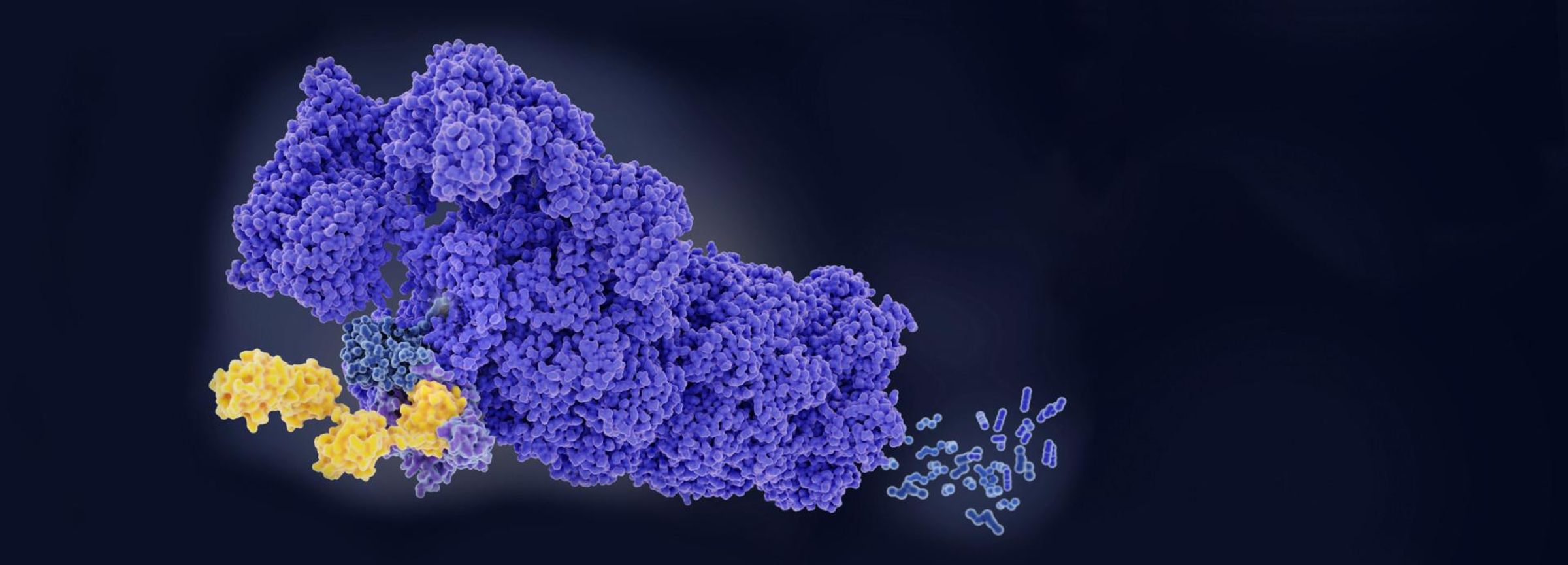 Wissenschaftliche 3D-Aufnahme