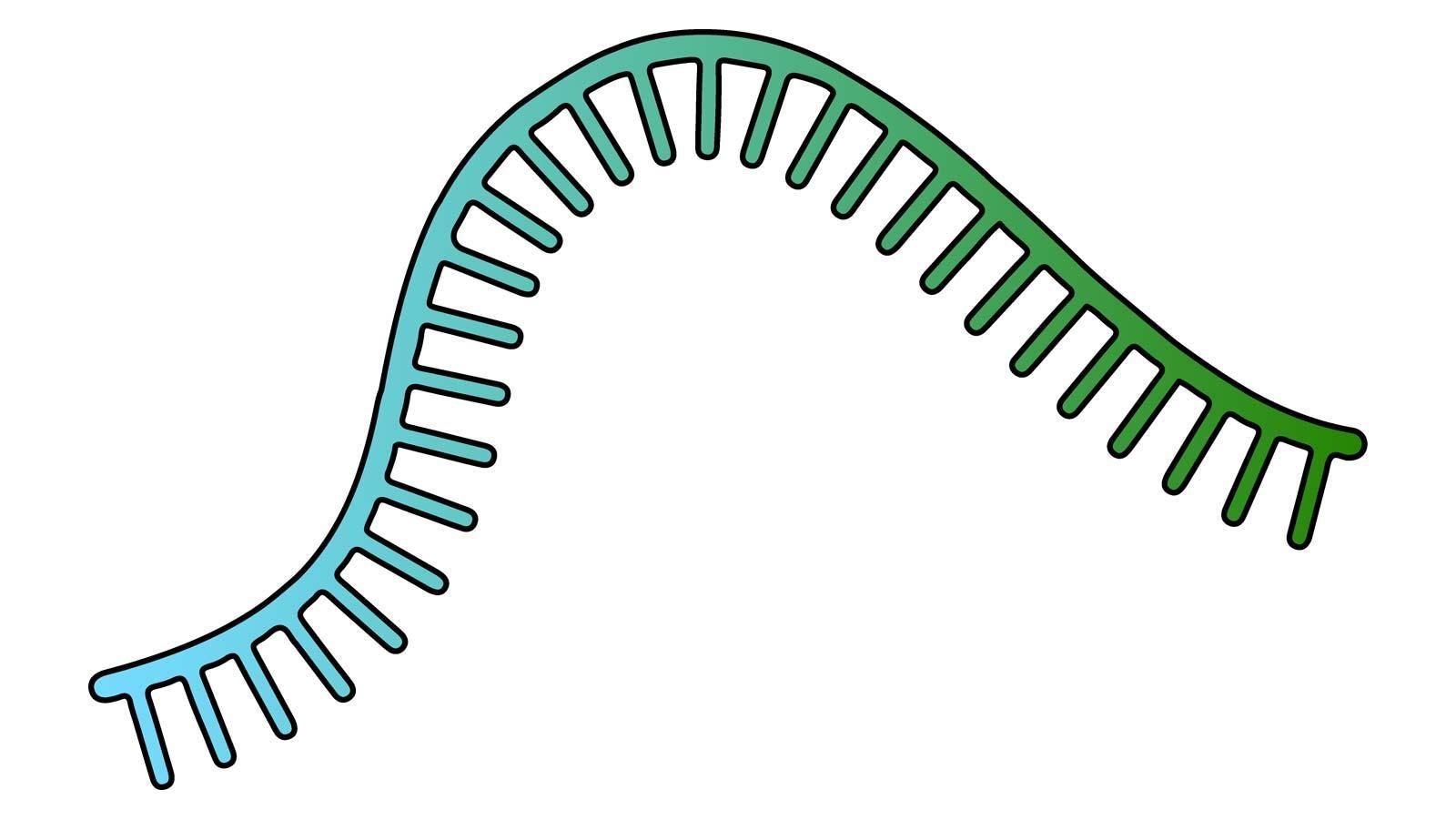 Schematische Darstellung einer RNA