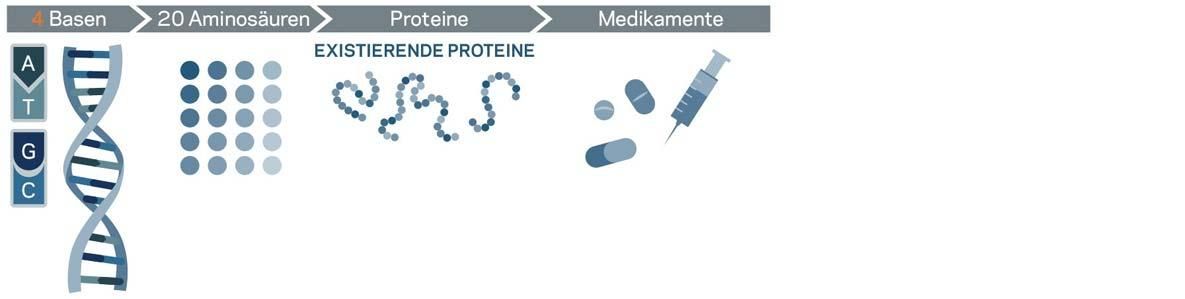 Illustration Genetisches Alphabet mit 4 Basen und 20 Aminosäuren zur Synthese existierender Proteine