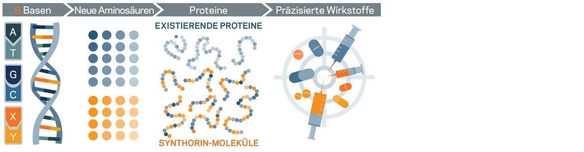Illustration „Erweitertes Genetisches Alphabet“ mit 6 Basen und zusätzlichen Aminosäuren zur Synthese neuer Proteine