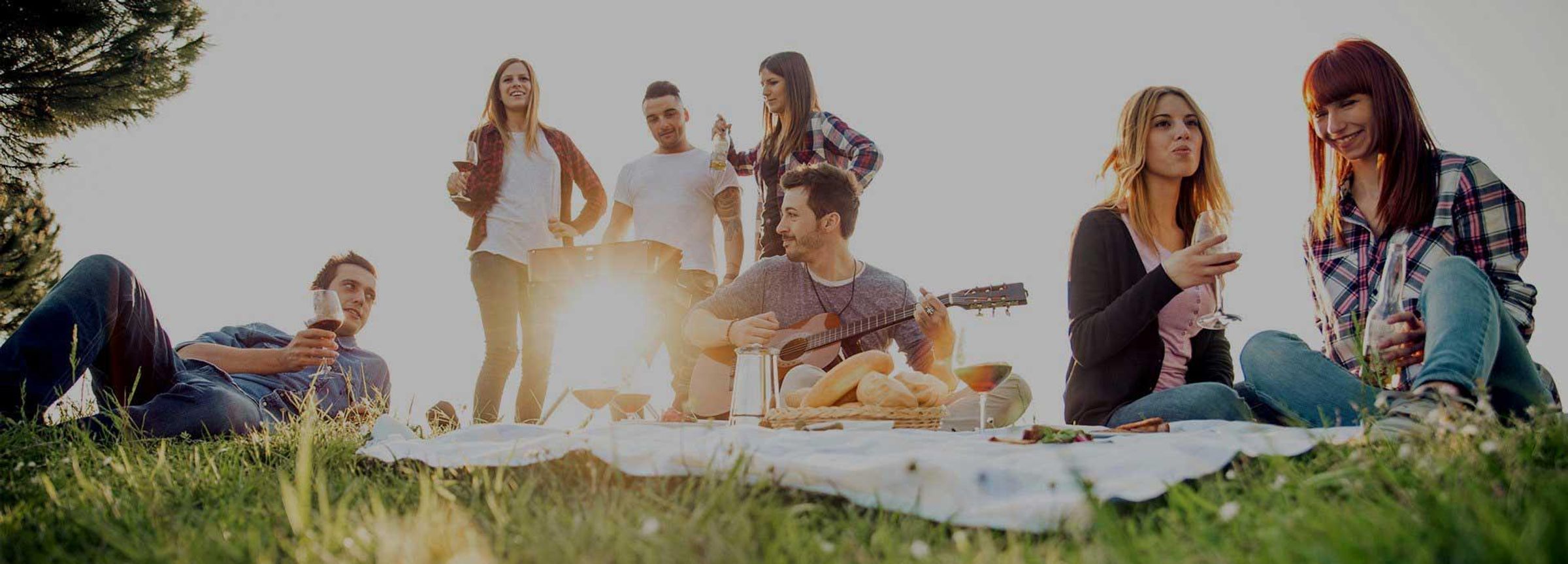 Eine Gruppe junger Menschen picknickt auf einer Wiese